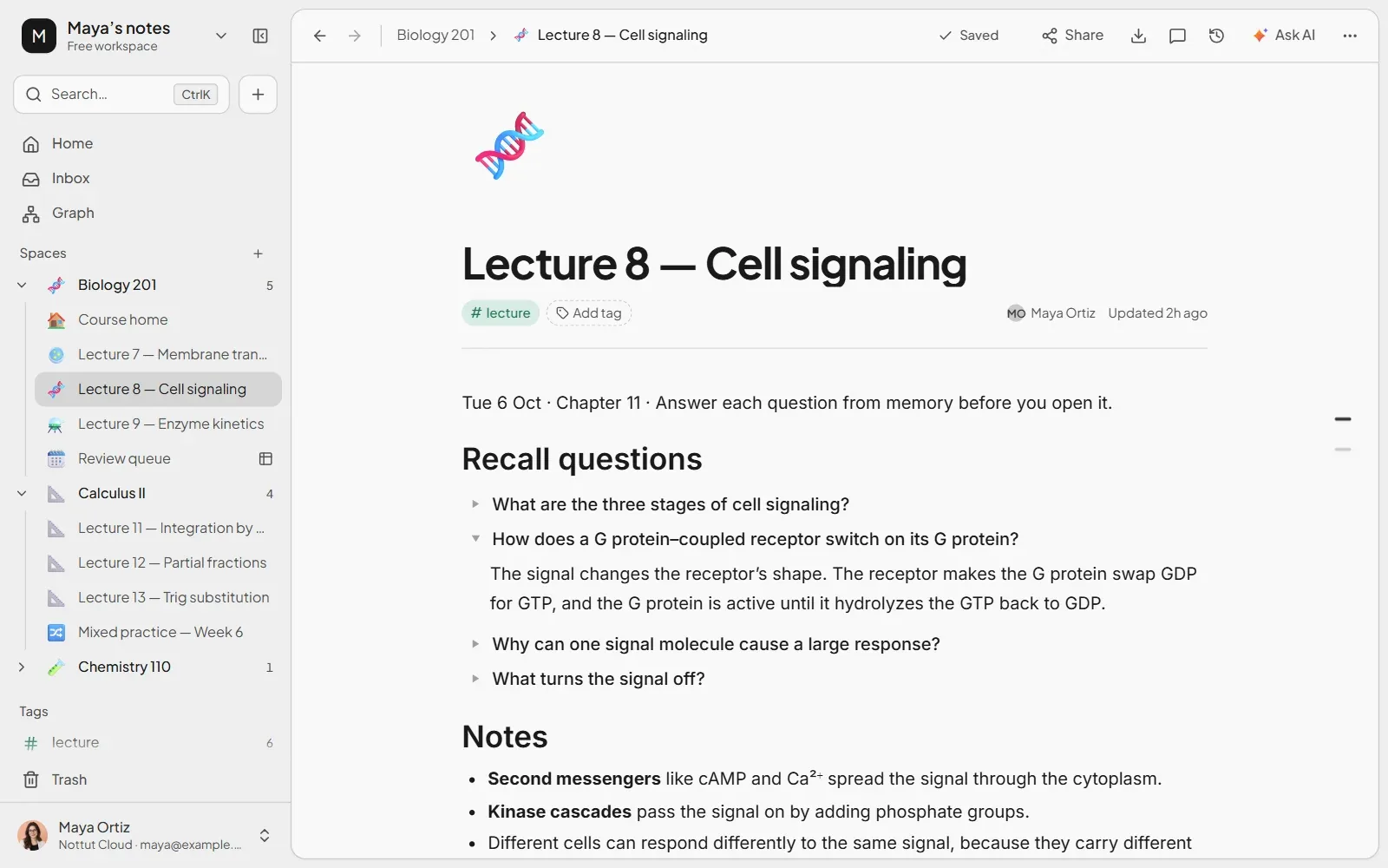 A Nottut lecture note whose main ideas are written as questions in toggles, with answers hidden until opened
